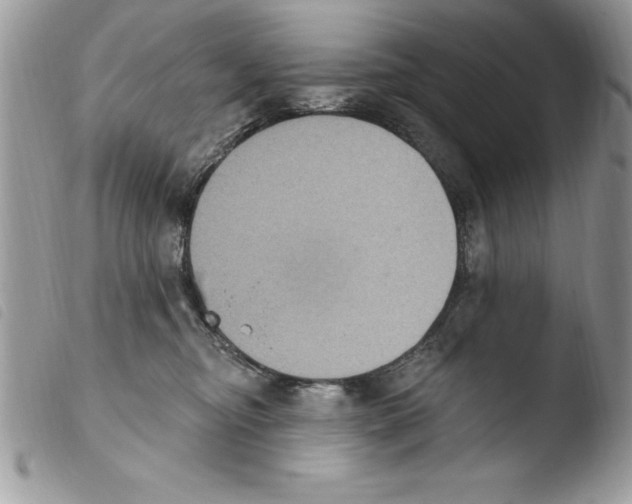 X0000103950374200810171844