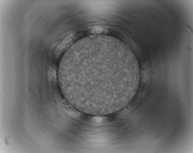 X0000103950375200810171844
