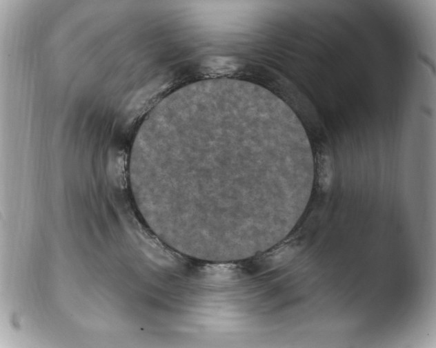 X0000103950378200810171844