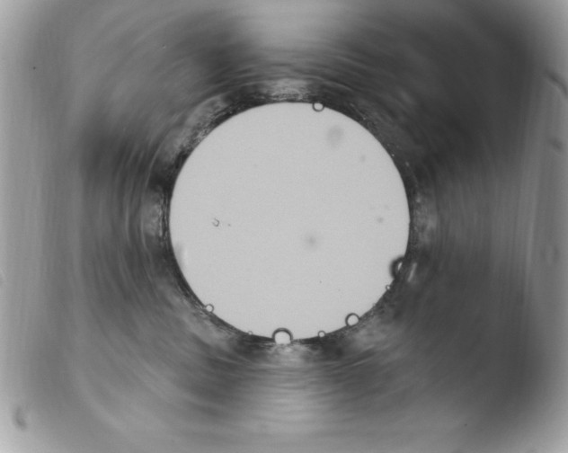 X0000103950379200810171844