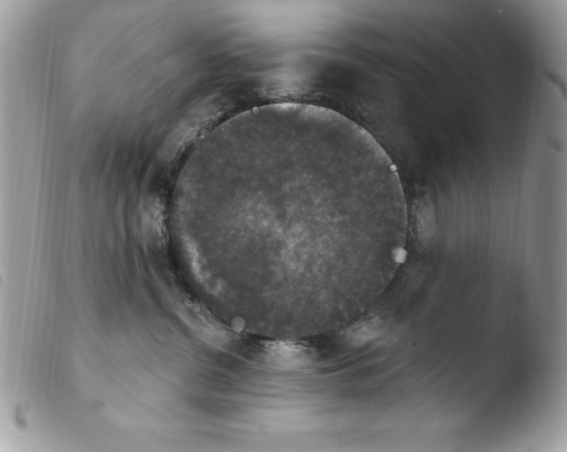 X0000103950380200810171844