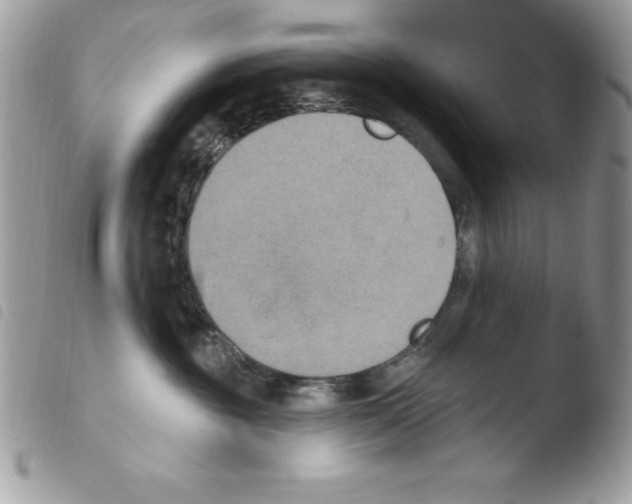 X0000103950381200810171844