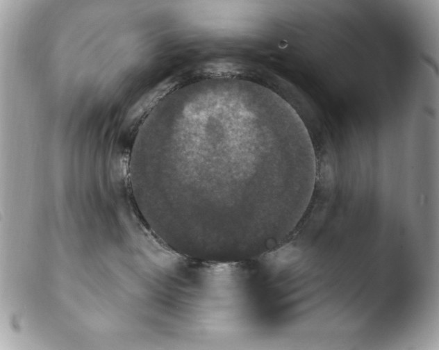 X0000103950382200810171844