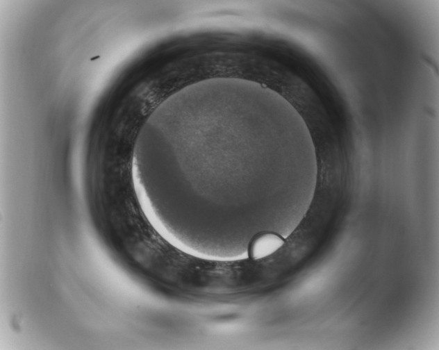 X0000103950383200810171844