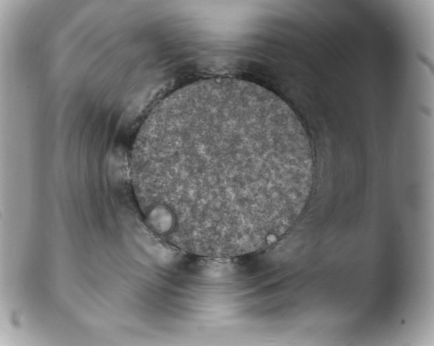X0000103950384200810171844