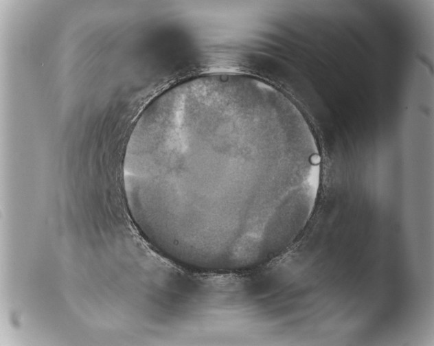 X0000103950385200810171844