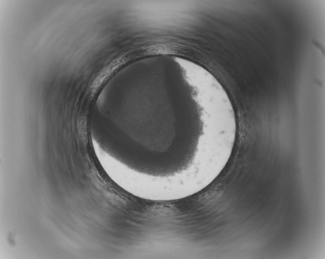 X0000103950386200810171844