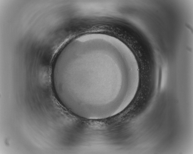 X0000103950387200810171844