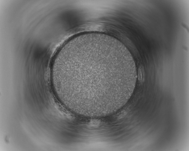 X0000103950388200810171844