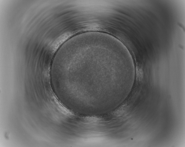 X0000103950389200810171844