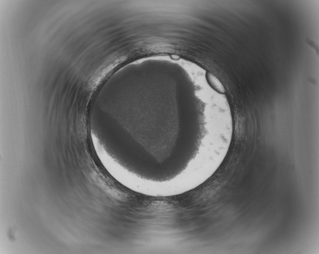X0000103950390200810171844
