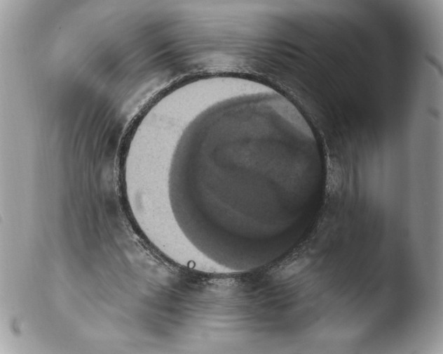 X0000103950391200810171844