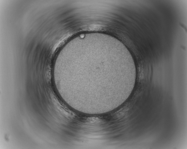 X0000103950392200810171844