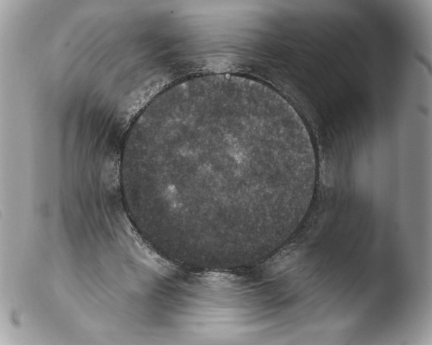 X0000103950393200810171844