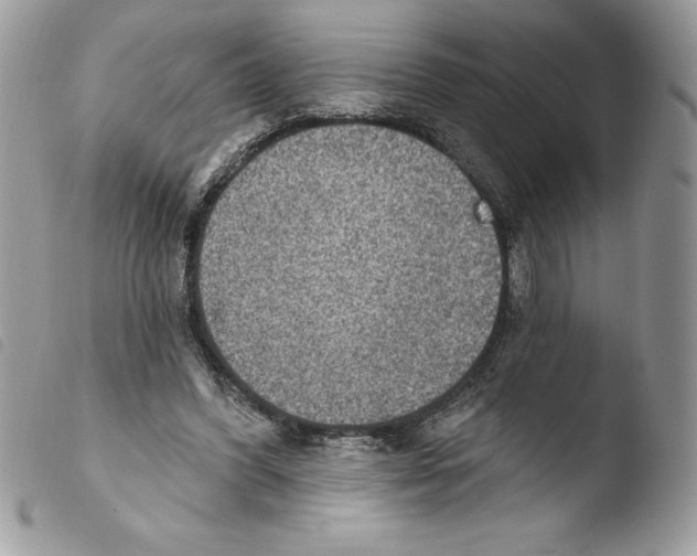 X0000103950396200810171843