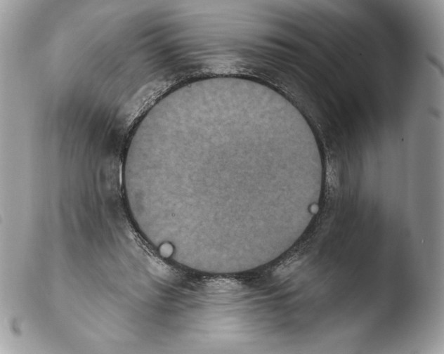 X0000103950397200810171843