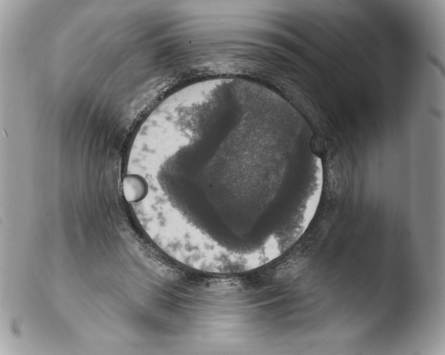 X0000103950398200810171843