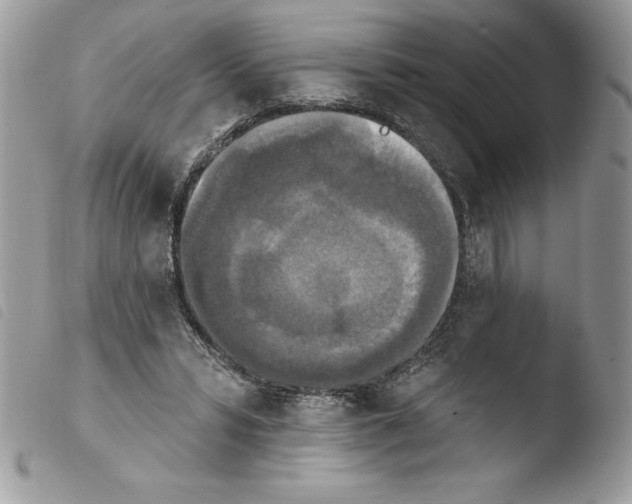 X0000103950399200810171843