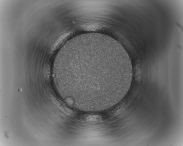 X0000103950400200810171843
