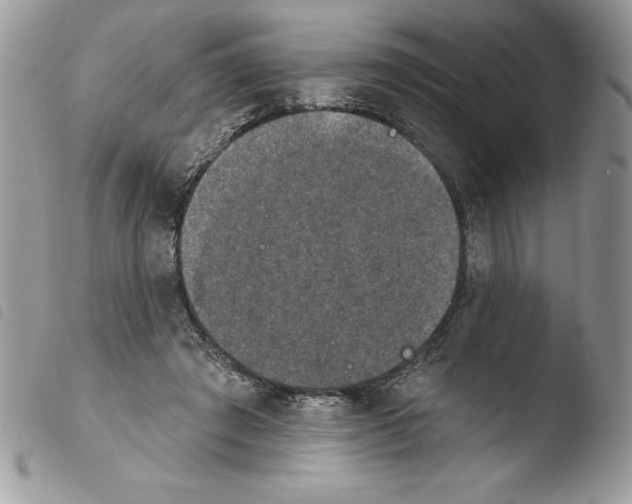 X0000103950401200810171843