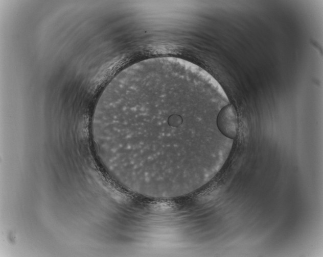 X0000103950402200810171843