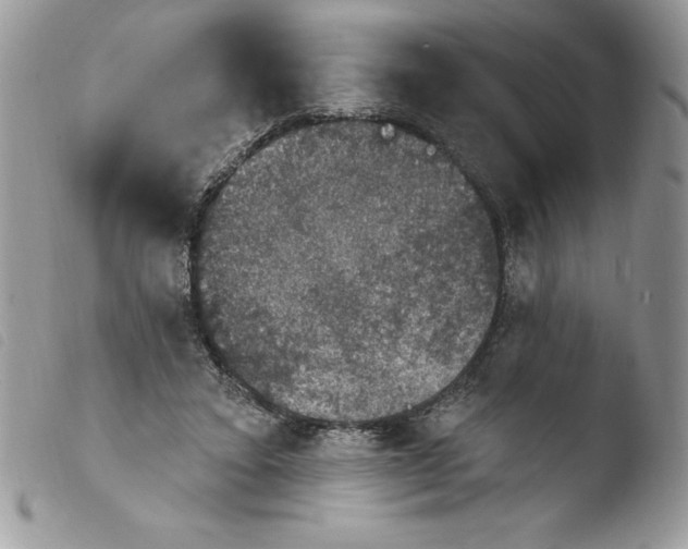 X0000103950403200810171843