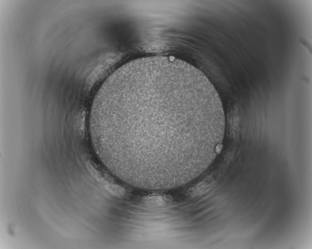 X0000103950404200810171843