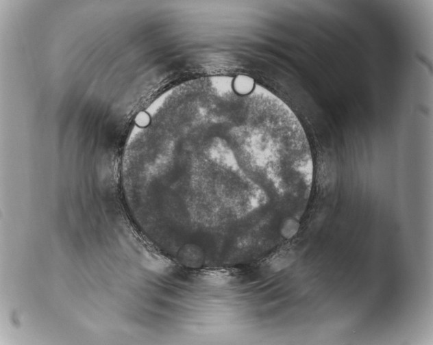 X0000103950405200810171843