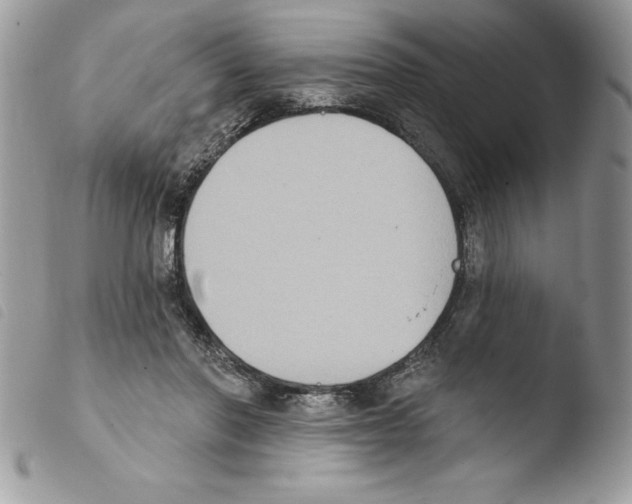 X0000103950406200810171843