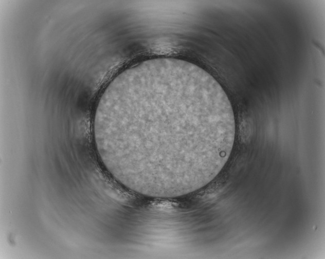 X0000103950407200810171843