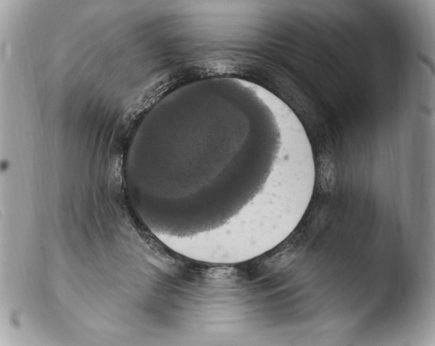 X0000103950410200810171843