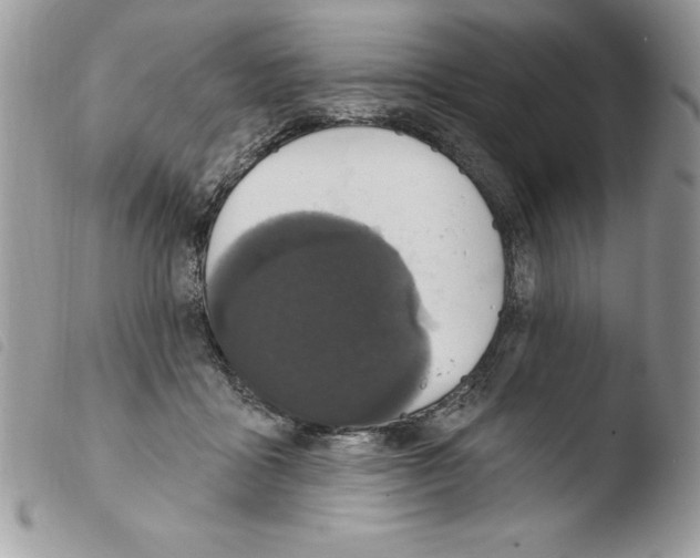 X0000103950411200810171843