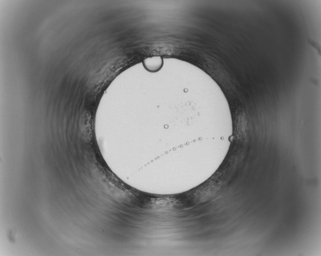 X0000103950414200810171843