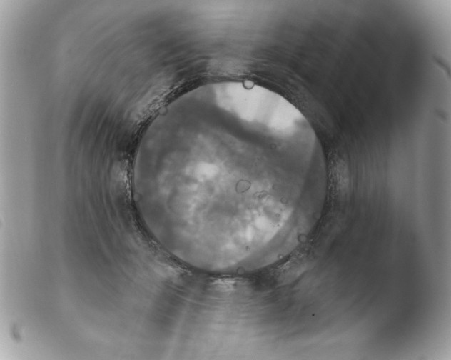 X0000103950415200810171843