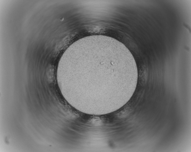 X0000103950416200810171843