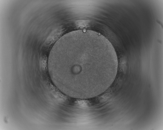 X0000103950417200810171843