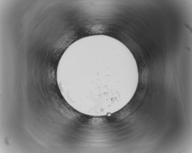 X0000103950418200810171843
