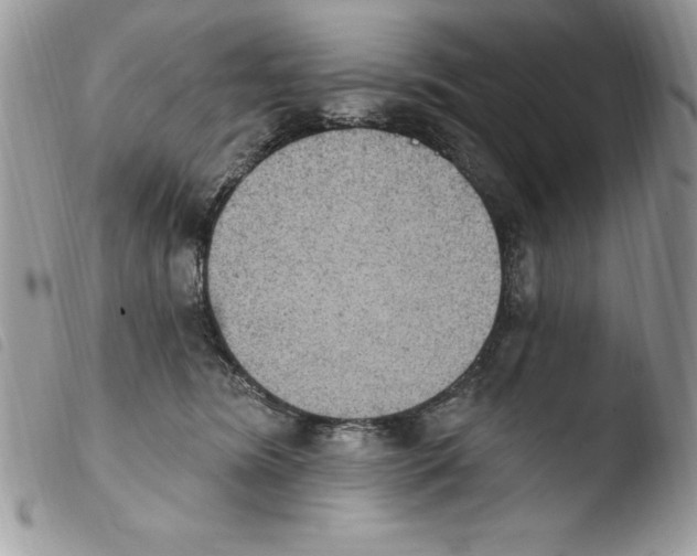 X0000103950420200810171843