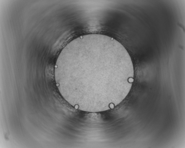 X0000103950421200810171843
