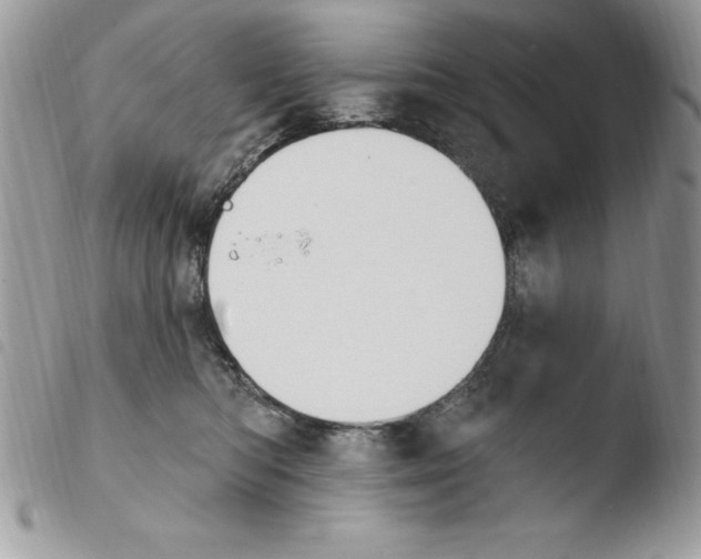X0000103950422200810171843