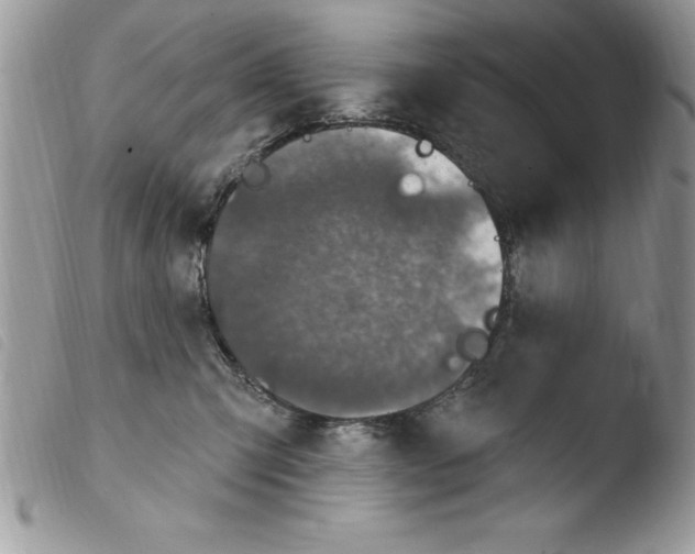 X0000103950423200810171843