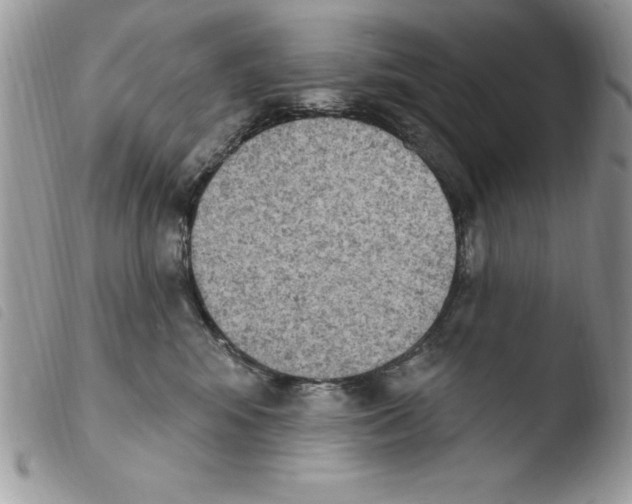 X0000103950424200810171843