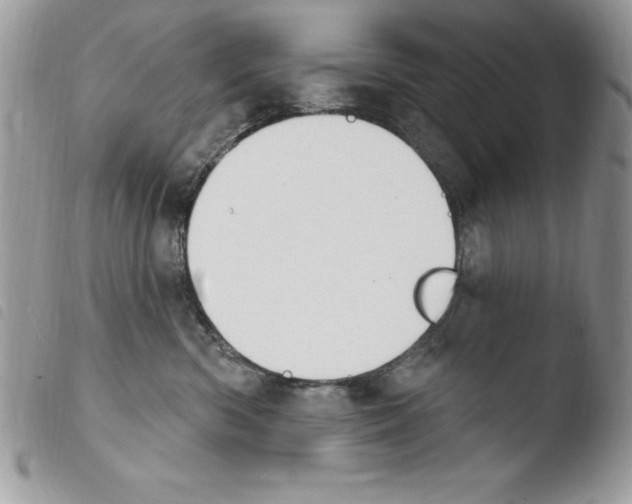 X0000103950426200810171843