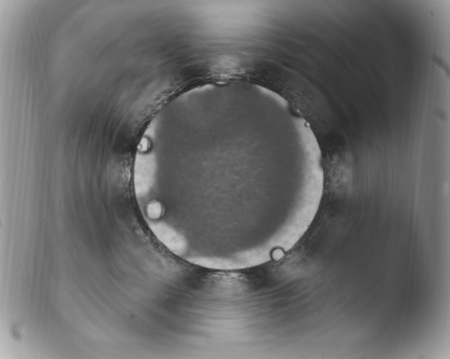 X0000103950427200810171843