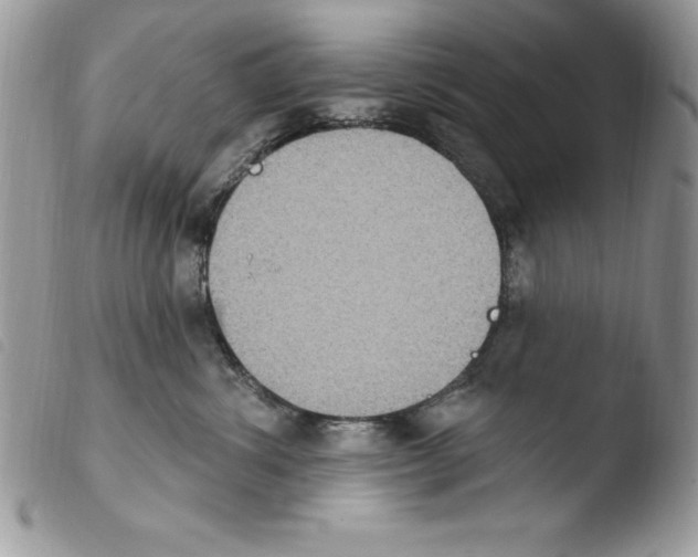 X0000103950428200810171843
