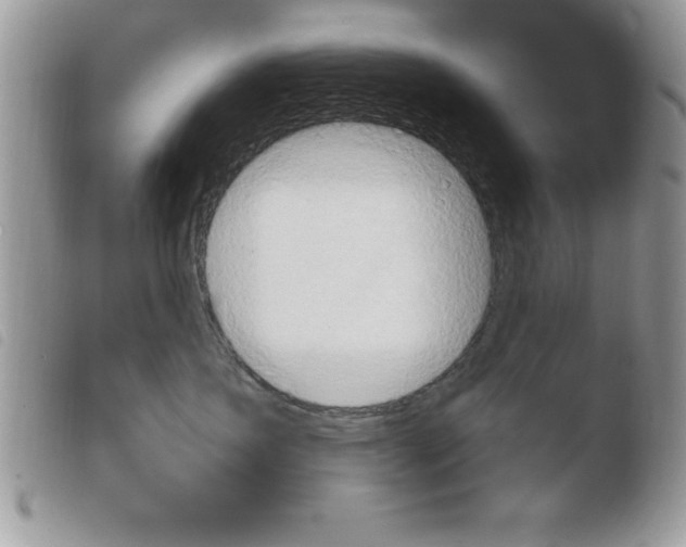 X0000103950431200810171843