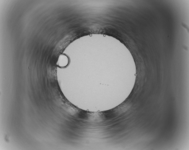 X0000103950432200810171843
