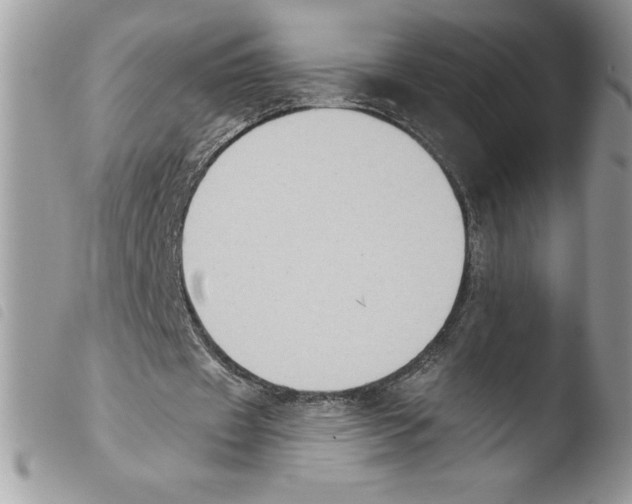 X0000103950433200810171842