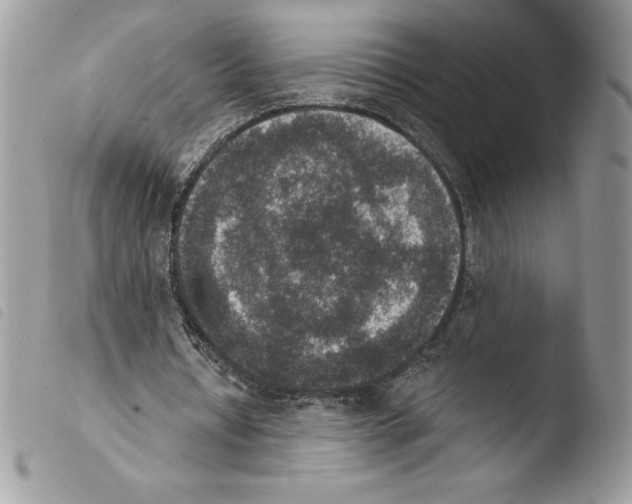 X0000103950434200810171842