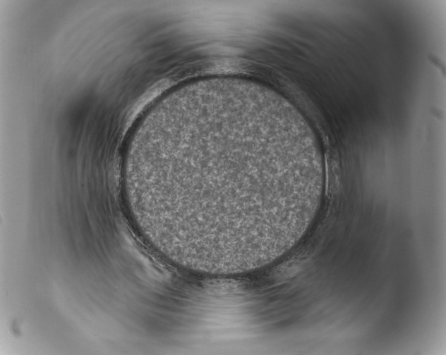 X0000103950435200810171842